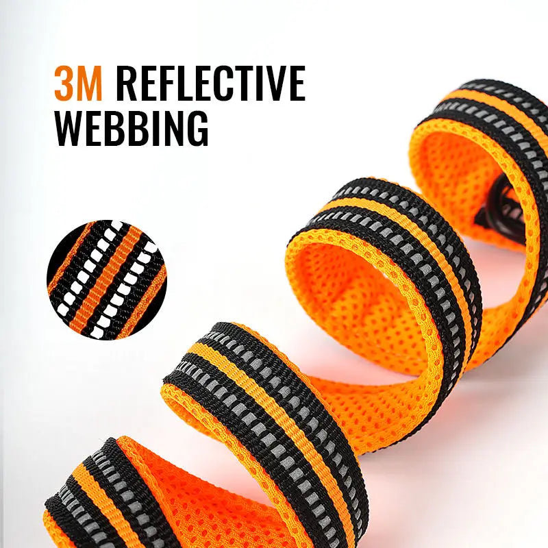 Truelove 7-in-1 Hands-Free Reflective Lead
