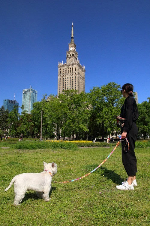Matteo Collar With A Plastic Bucle – Travel, photo 3