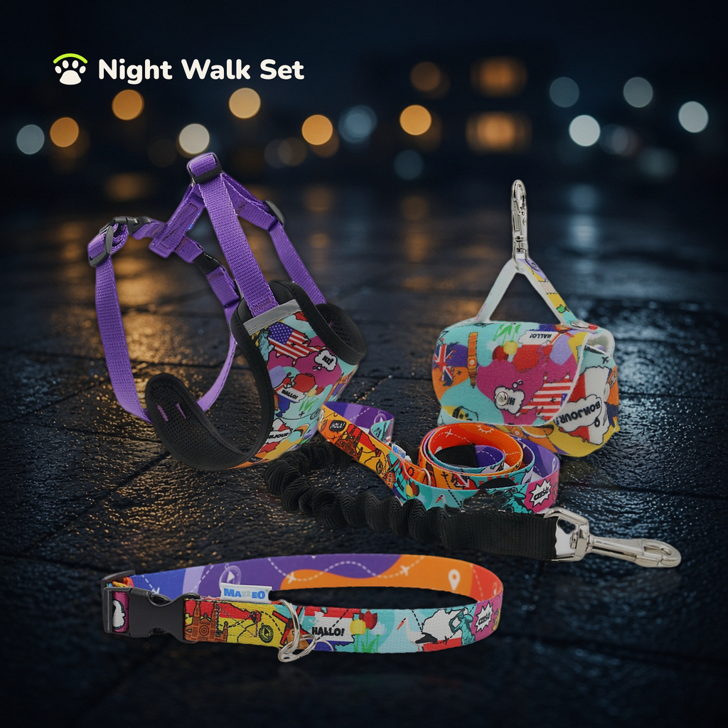 Night Walk Set in Travel print: pressure-free harness, shock-absorbing lead, collar and poo-bag holder on a wet street at night