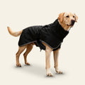 Yellow Labrador wearing the black Pawtrol reflective waterproof dog raincoat