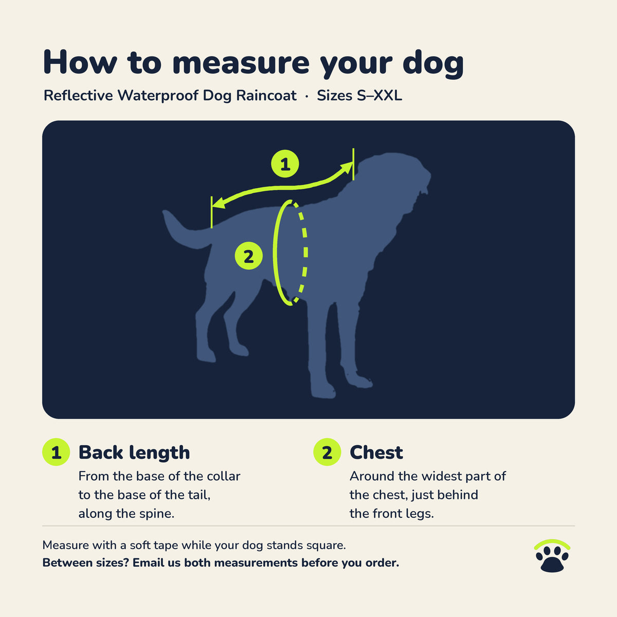 How to measure your dog: back length and chest